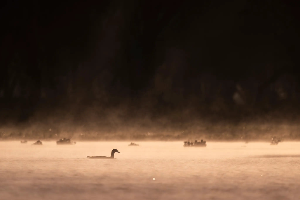 Boat rides on Lake Naivasha at Loldia House, Naivasha, Kenya.