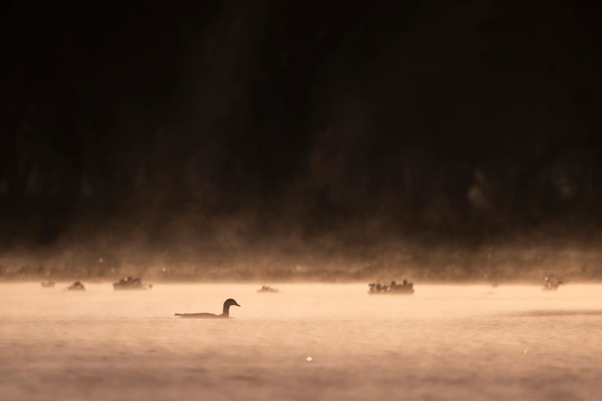 Boat rides on Lake Naivasha at Loldia House, Naivasha, Kenya.