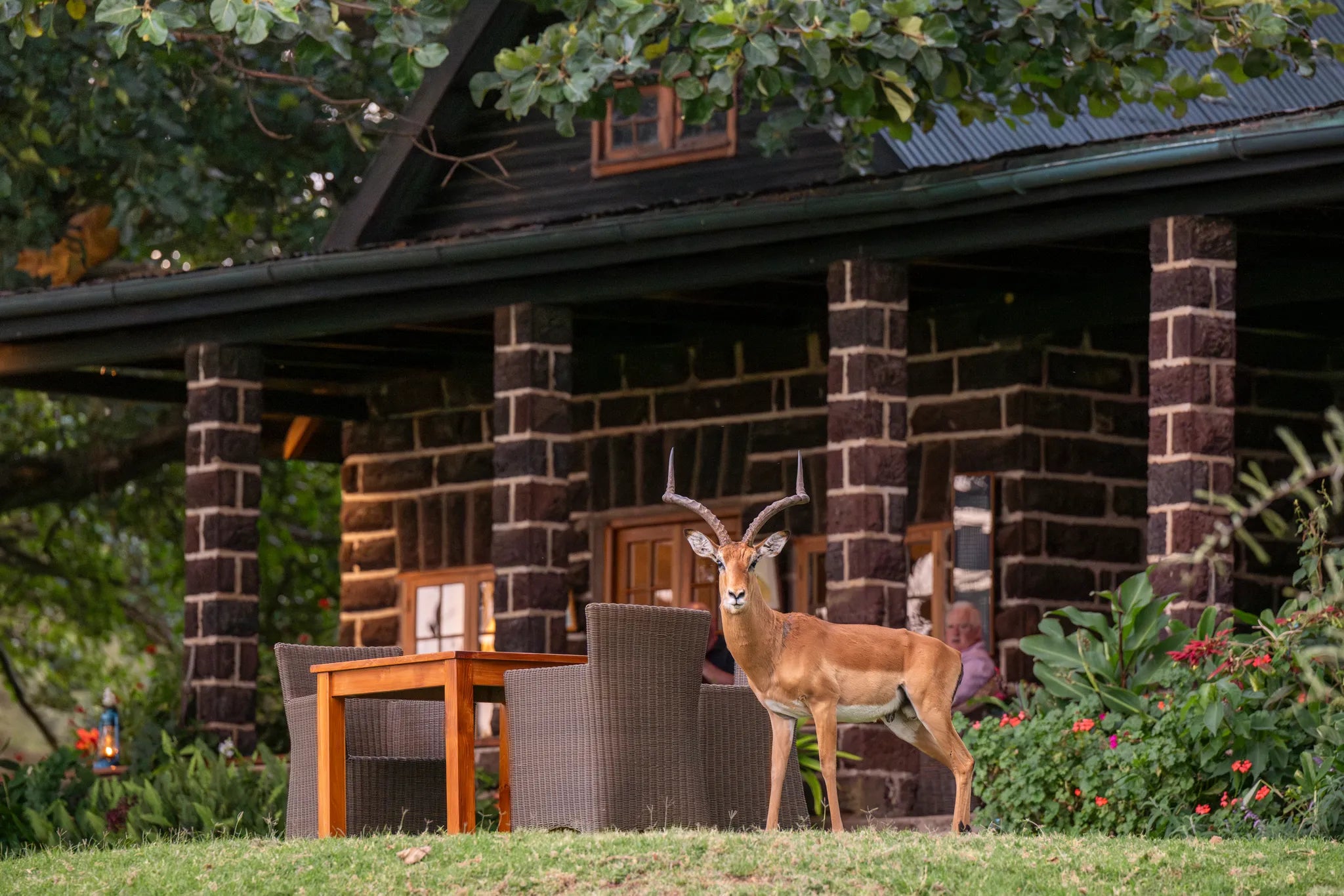 Governors' Loldia House at Loldia House, Naivasha, Kenya.