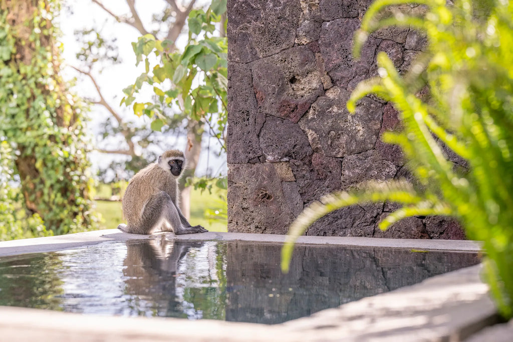 Governors' Loldia House Suite at Loldia House, Naivasha, Kenya.