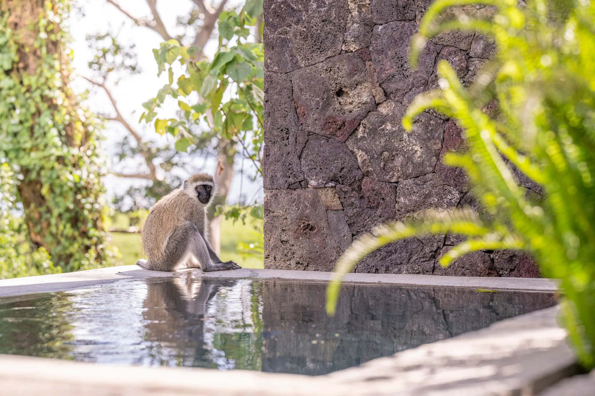 Governors' Loldia House Suite at Loldia House, Naivasha, Kenya.