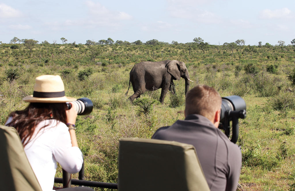 Londolozi Photoragphic Safari gallery image 9