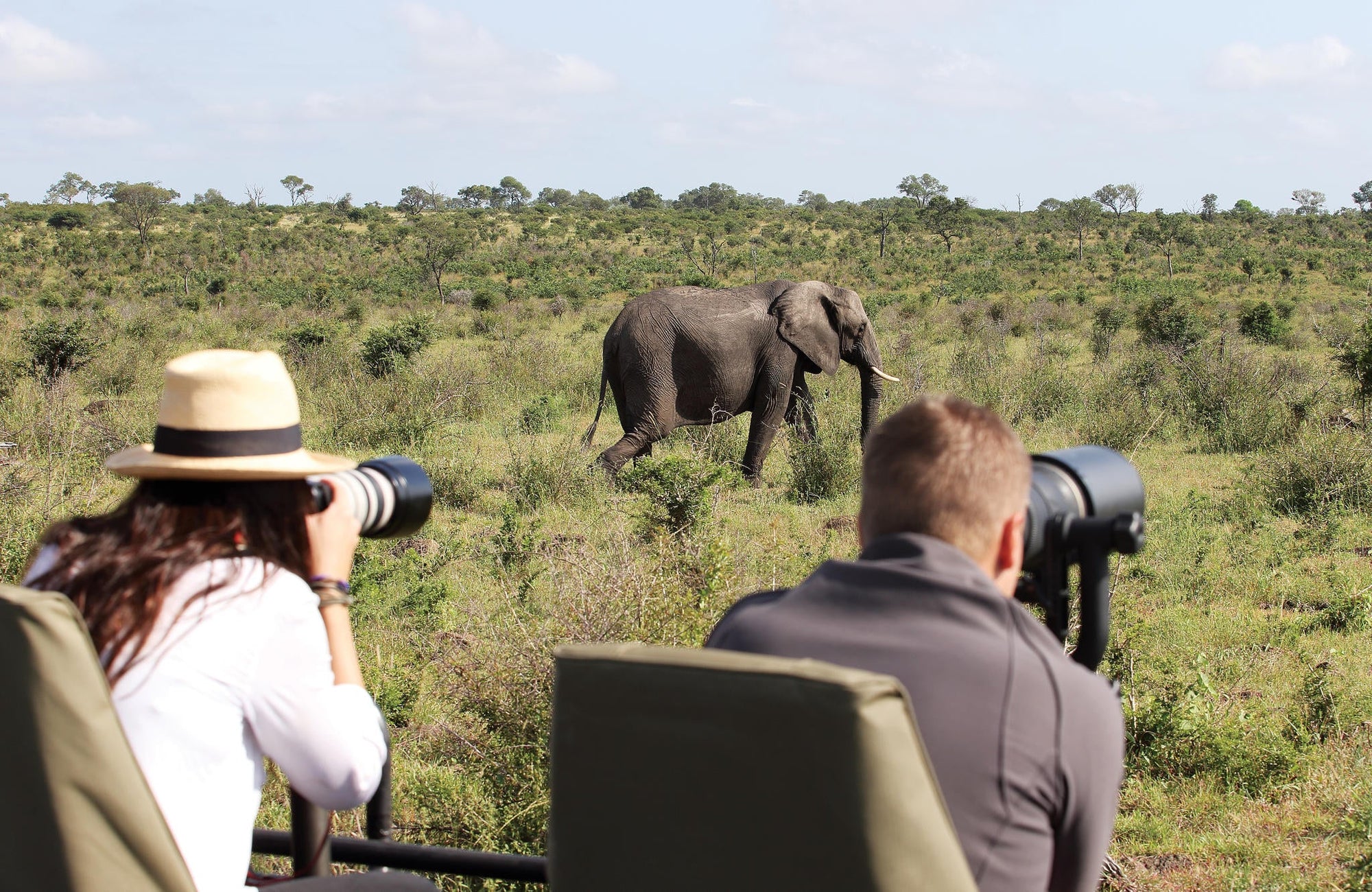 Londolozi Photoragphic Safari gallery image 2