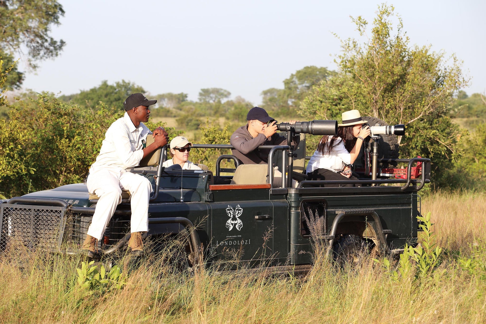 Londolozi Photoragphic Safari gallery image 8