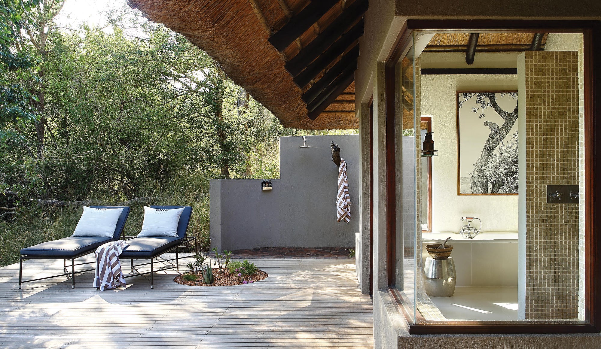 Tree Camp Suites gallery image 1