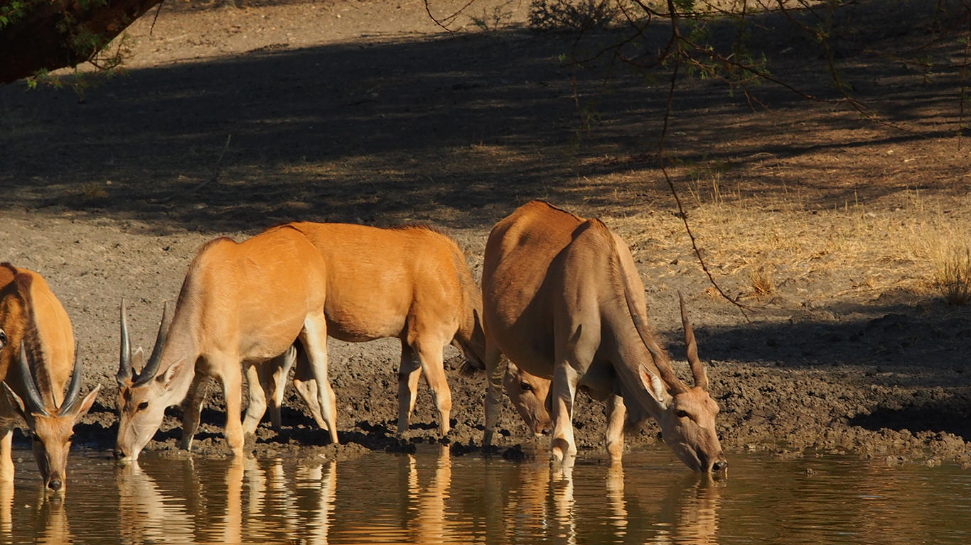 Lodge Waterhole gallery image 3