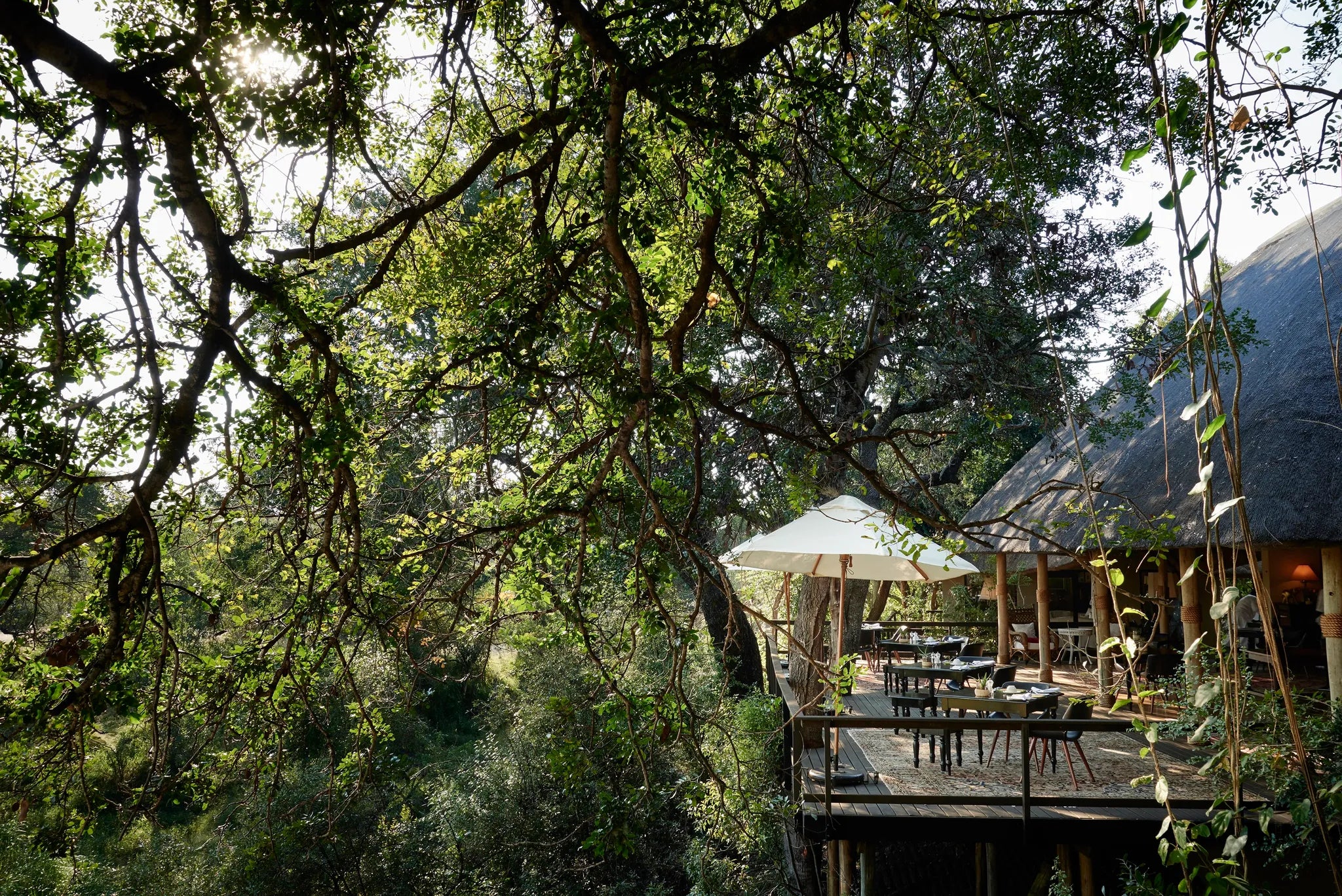 Malewane Lodge Deck at Malewane Lodge at Royal Malewane, Thornybush Game Reserve, South Africa.