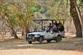 Half Day Game Drive gallery image 1