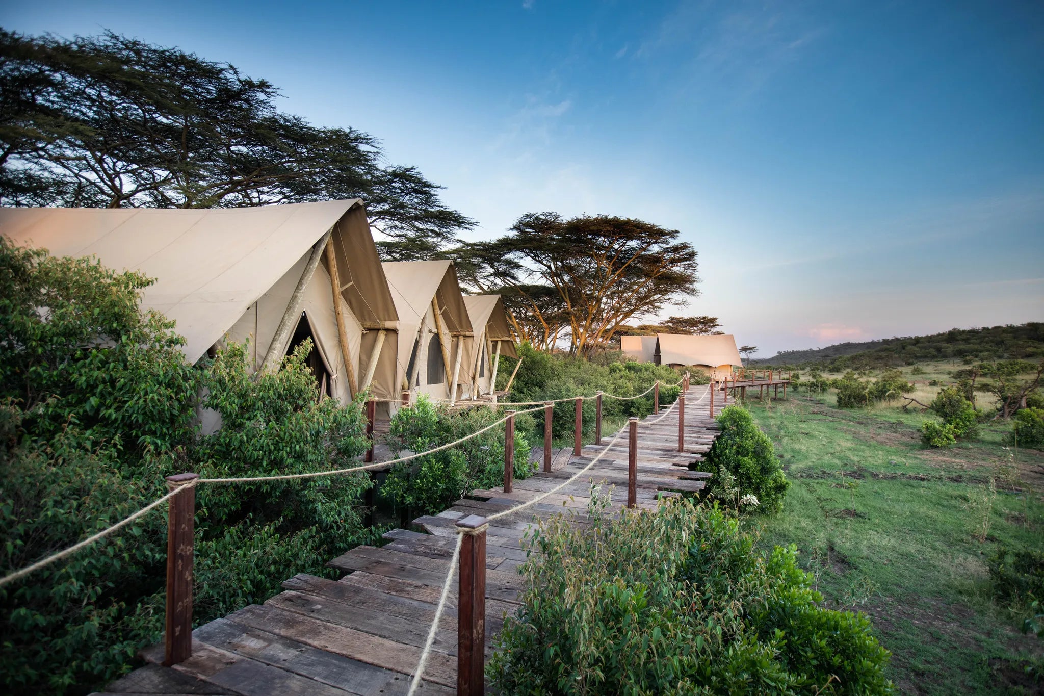 Walkways and Suite Exterior at Mara Nyika Camp, Mara Naboisho Conservancy, Kenya.