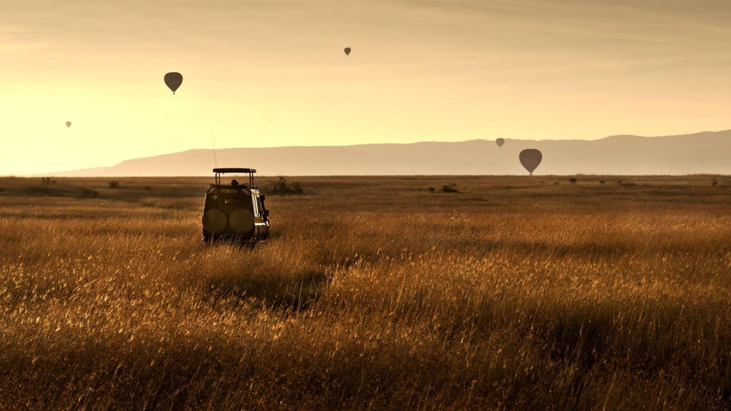 Balloon Safari gallery image 2