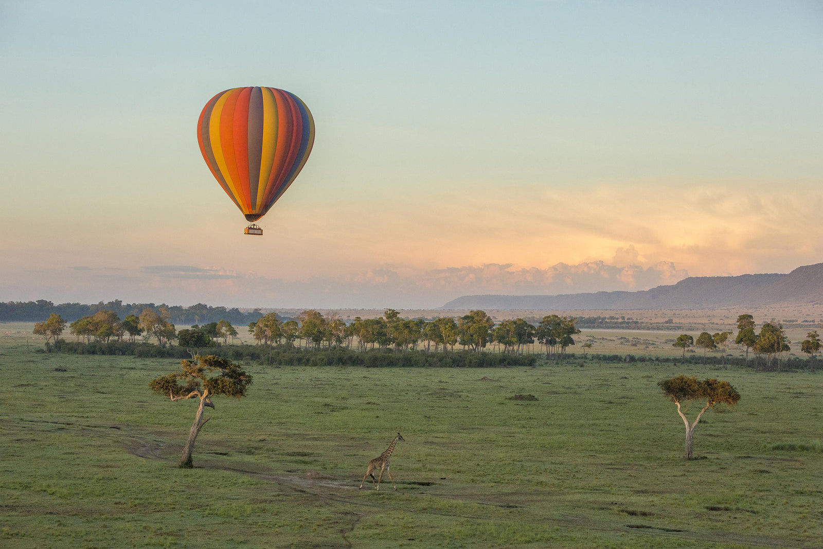 Ballon Safari (via Governors Ballooning)