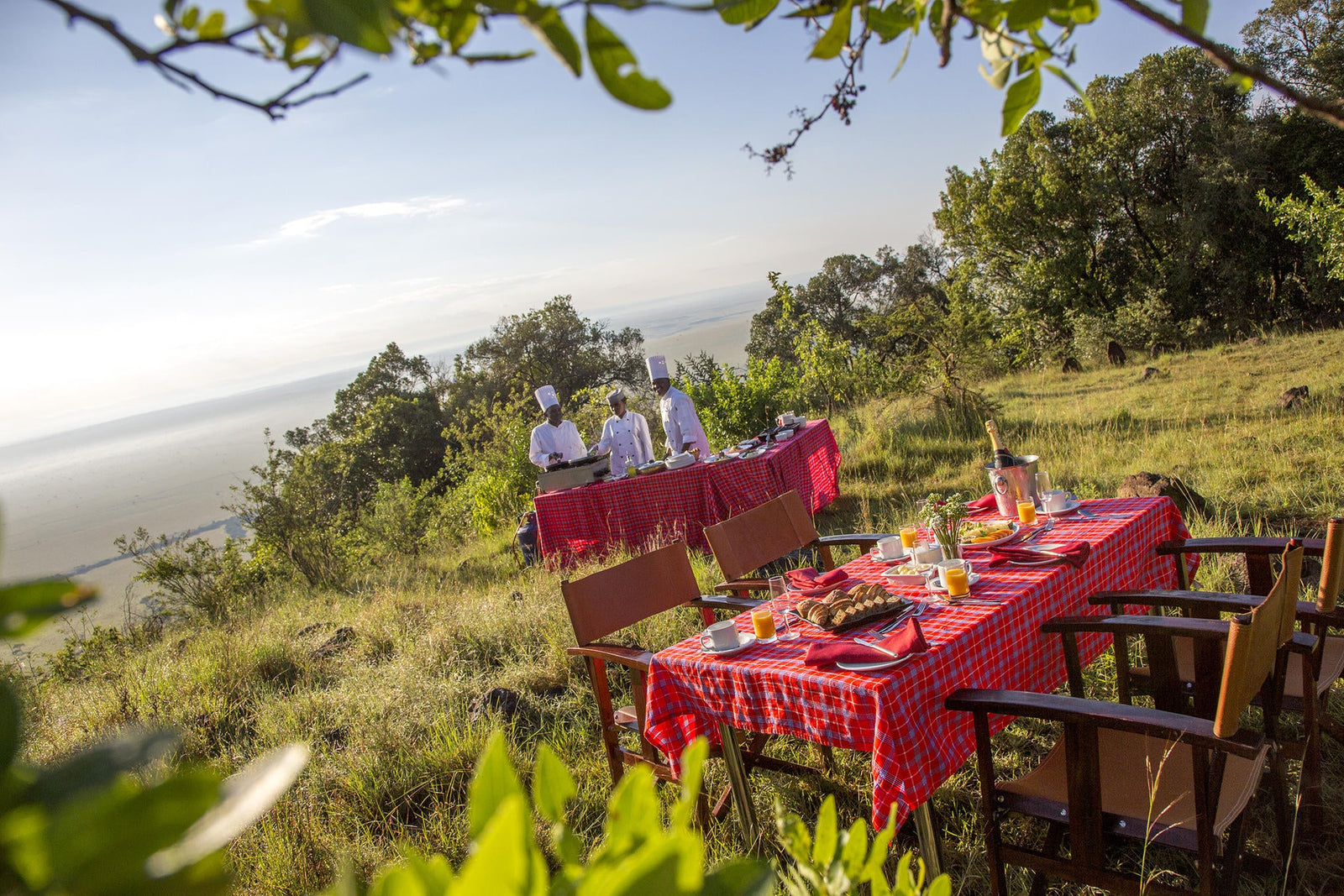 Bush Breakfast