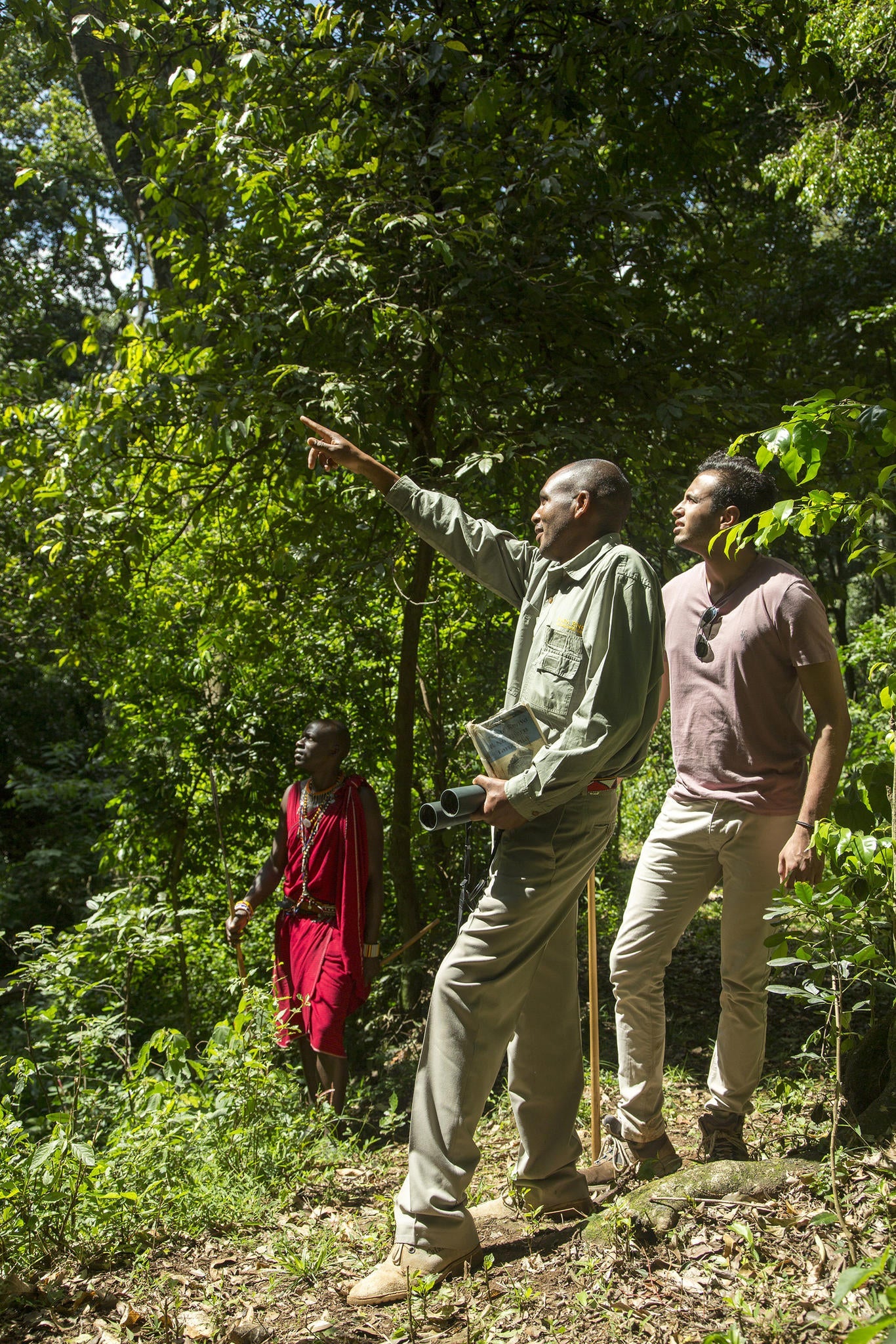 Nature Walk and Birding