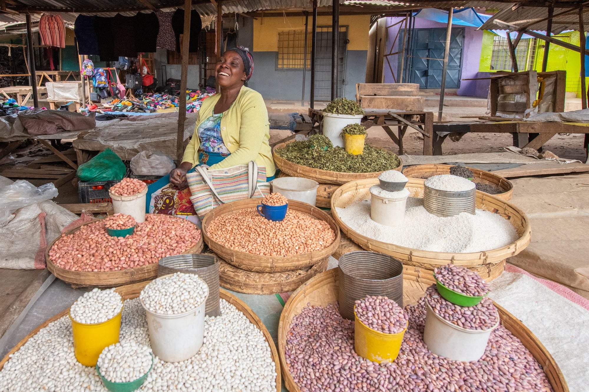 Livingstone Town and Market Tour