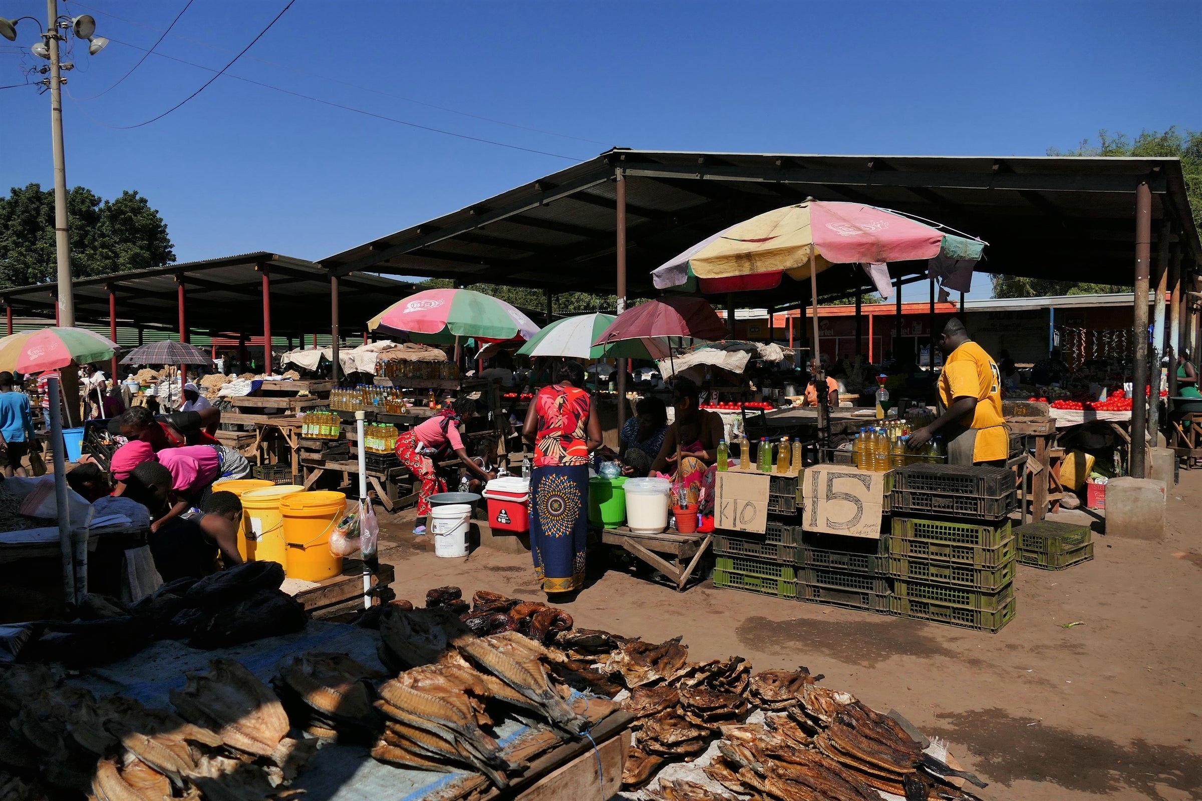 Livingstone Town and Market Tour
