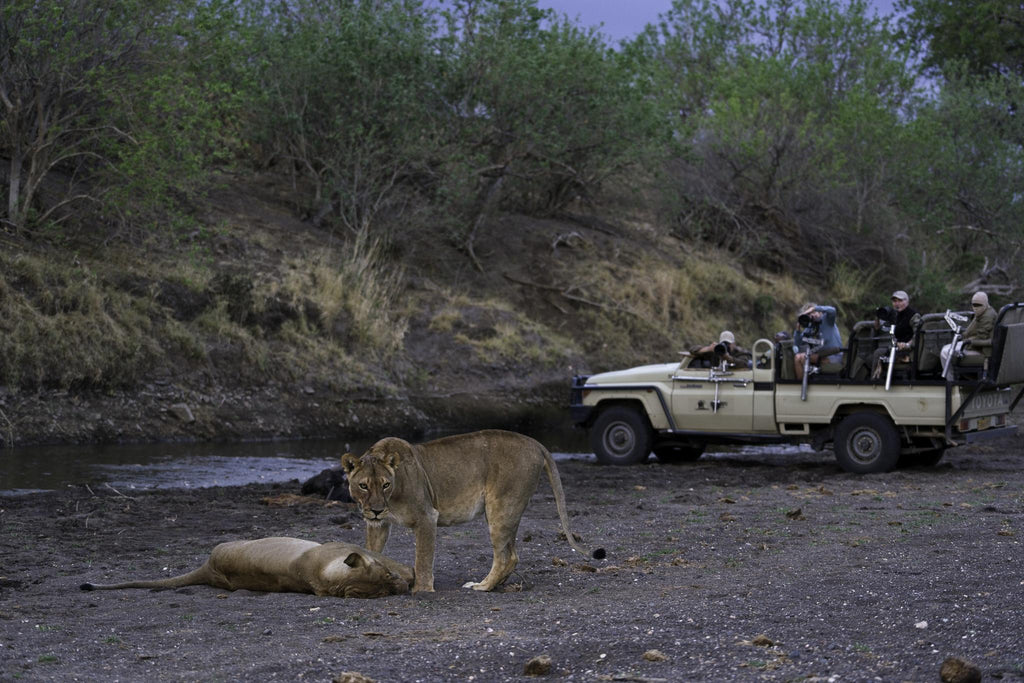 Game Drives gallery image 3