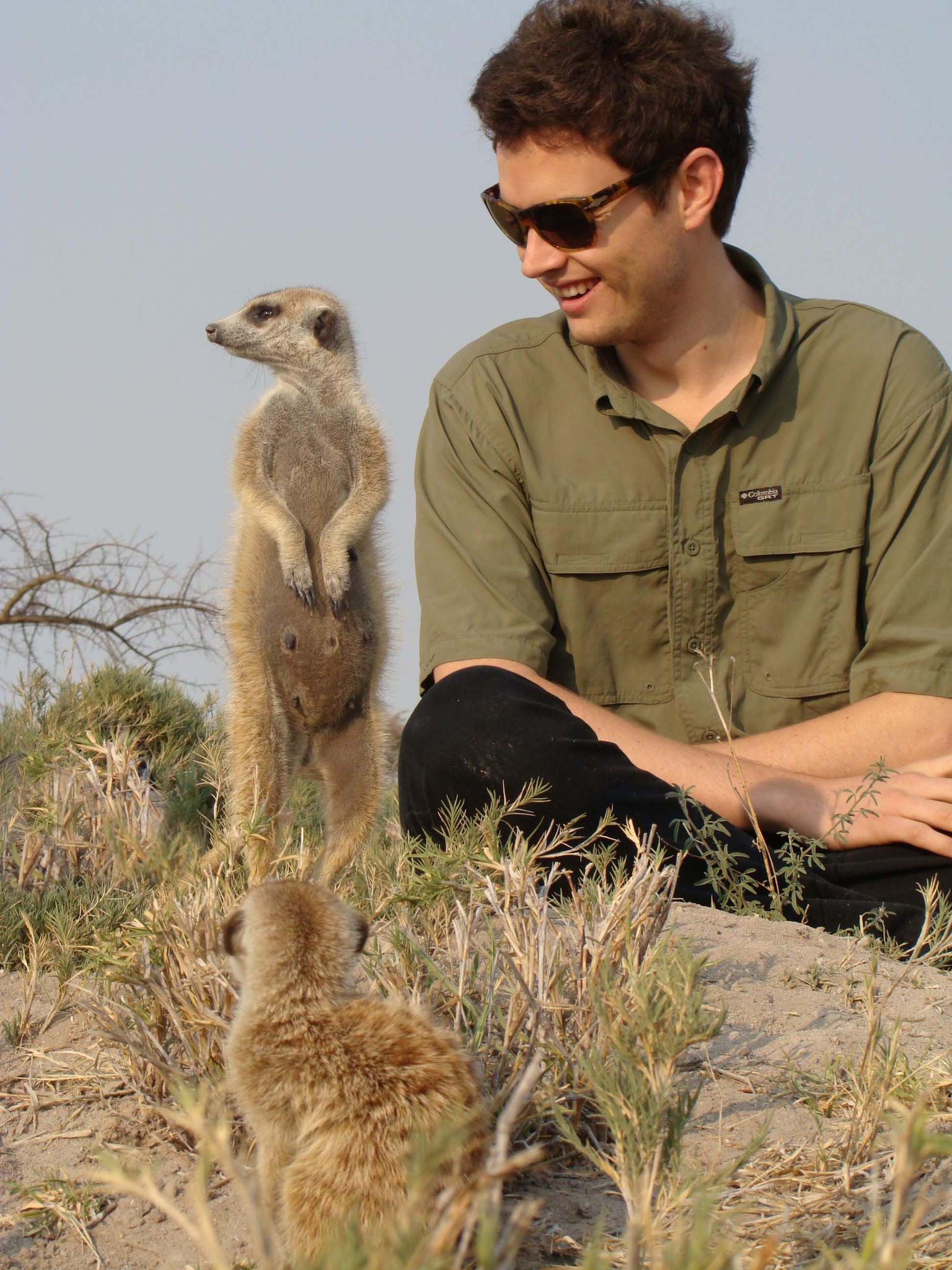 Meet the Meerkats gallery image 4