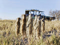 Meet the Meerkats gallery image 1