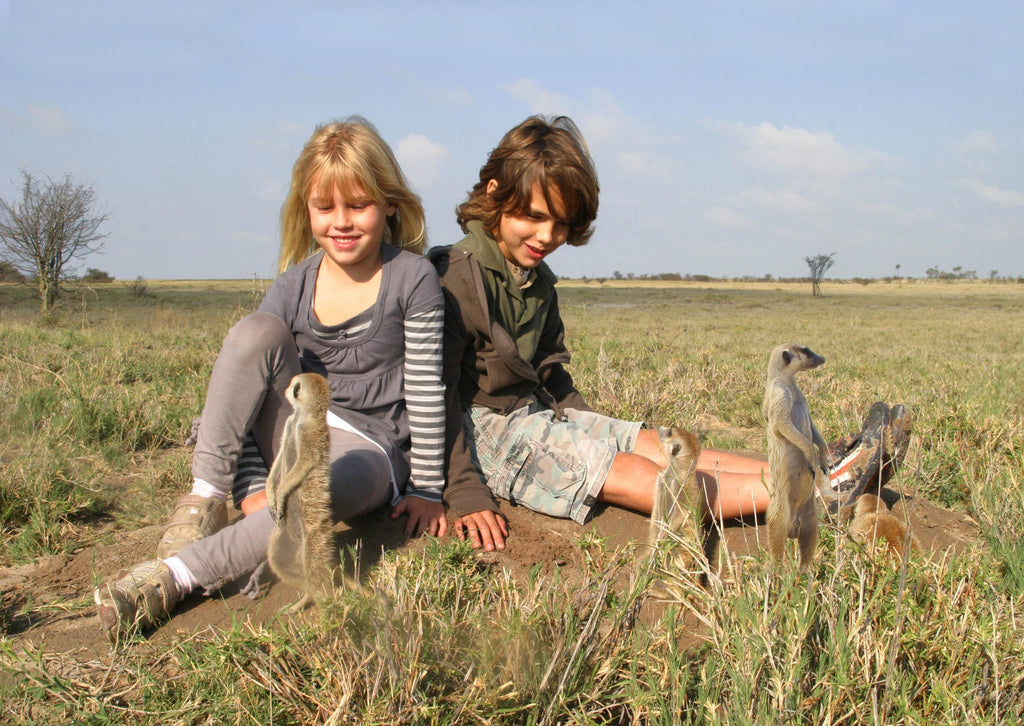 Meet the Meerkats gallery image 2
