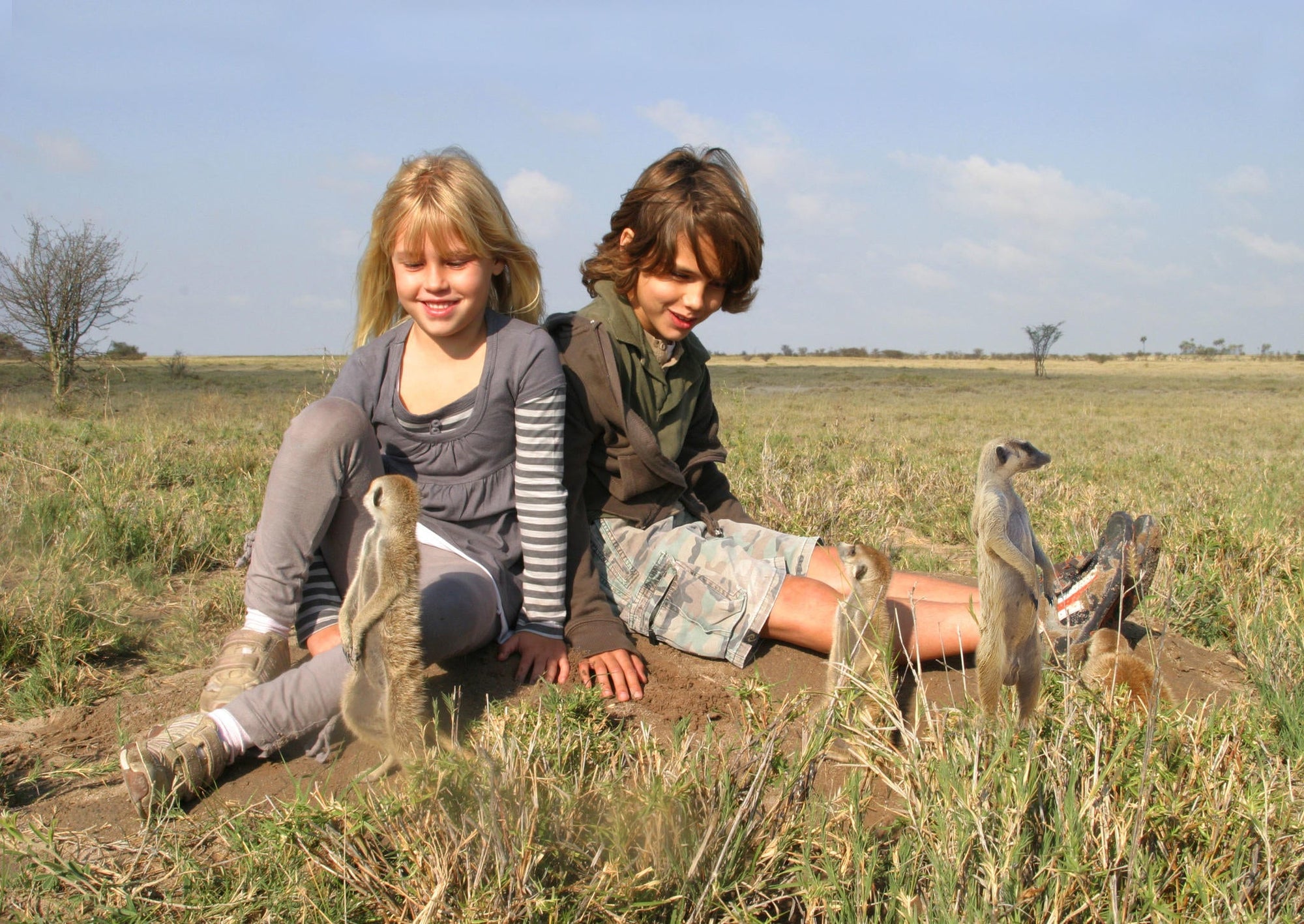 Meet the Meerkats gallery image 2