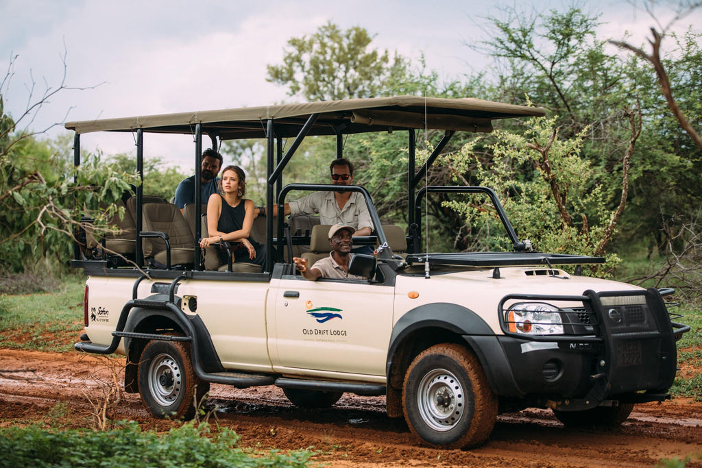 Morning or Afternoon Game Drive gallery image 2