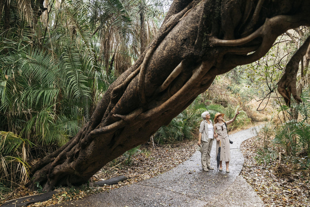 Victoria Falls Area Adventures gallery image 6