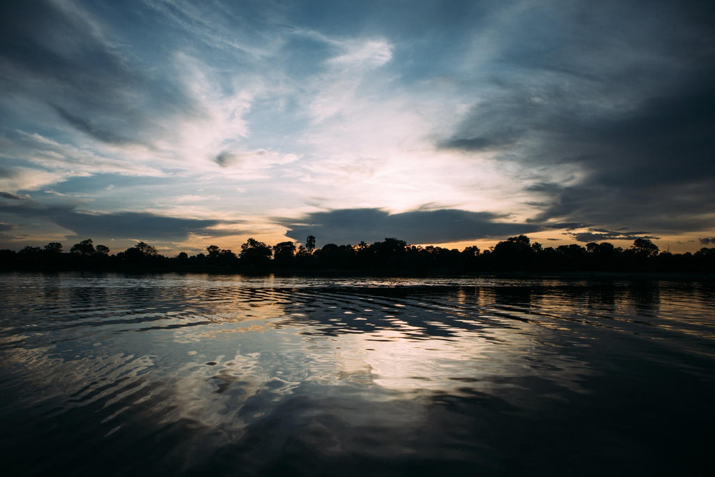 A Sunset Cruise on the Zambezi Royal (Excluding River Usage Fees) gallery image 5