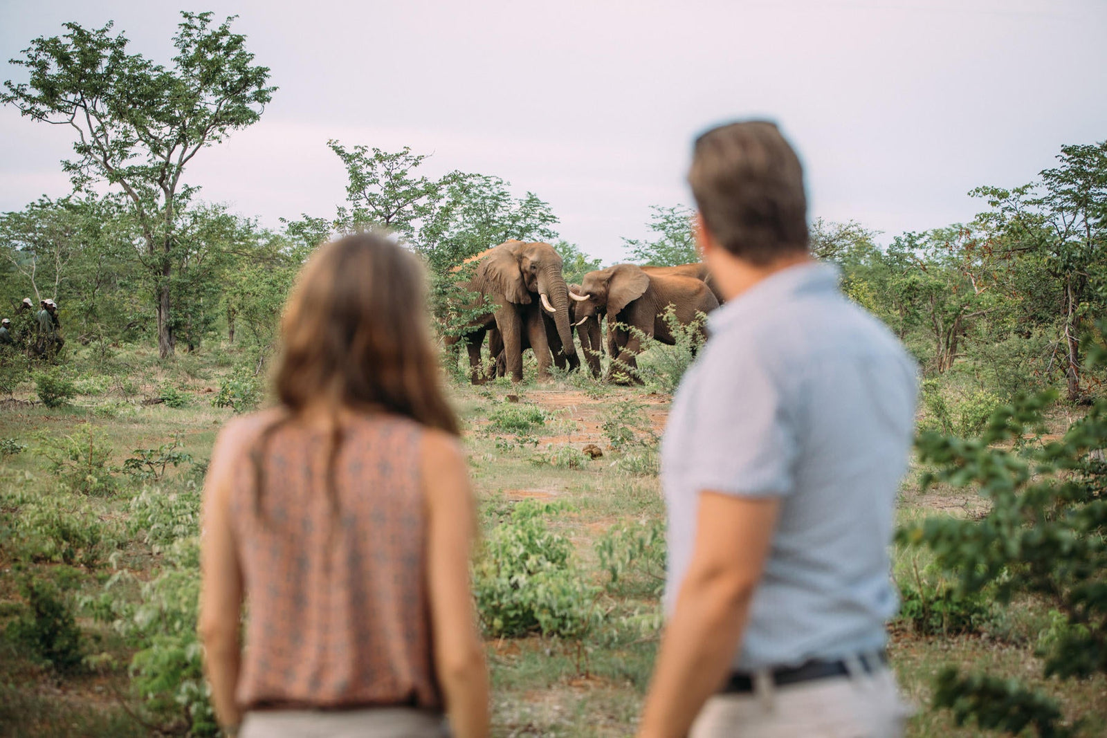 Elephant Conservation Experience