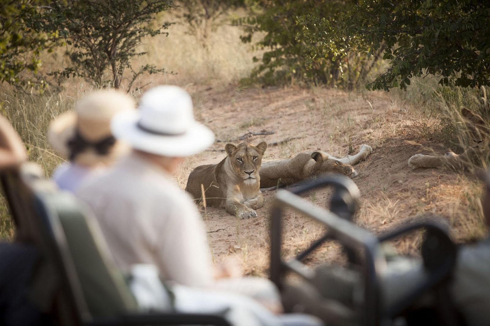 Game Drive