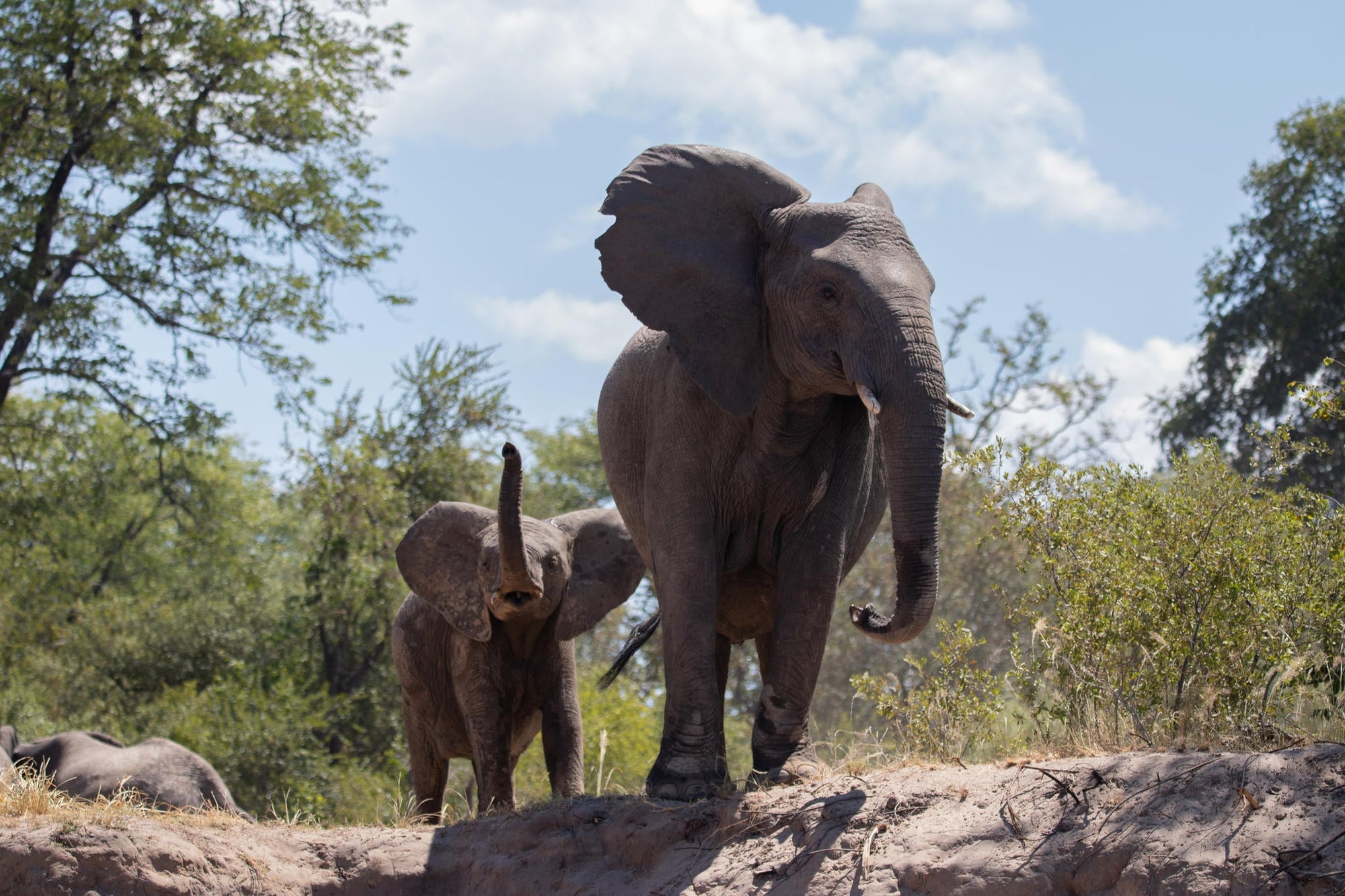 Explore the Mosi oa Tunya National Park gallery image 8