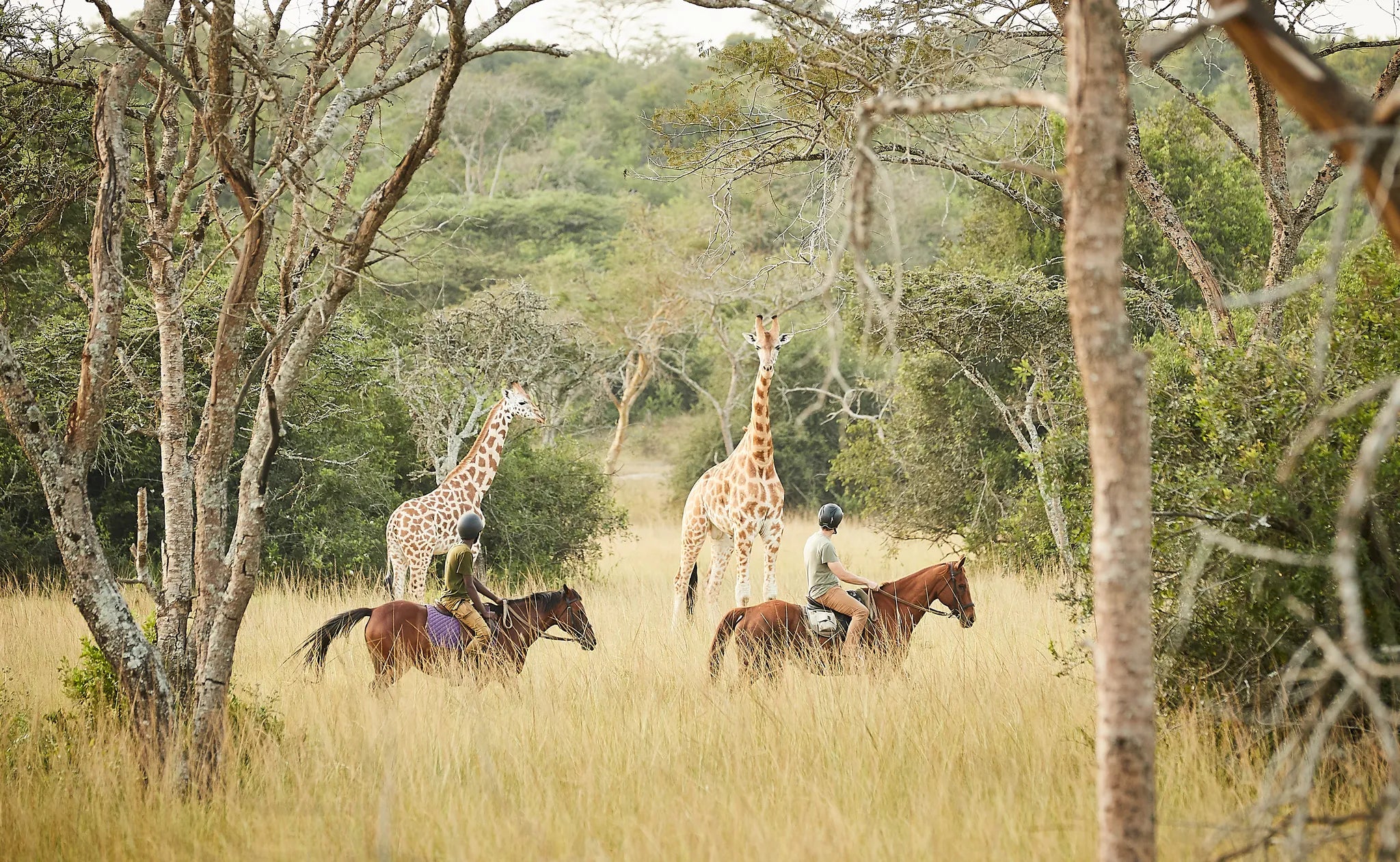 Mihingo Lodge Horse Safaris at Mihingo Lodge, Lake Mburo National Park, Uganda.