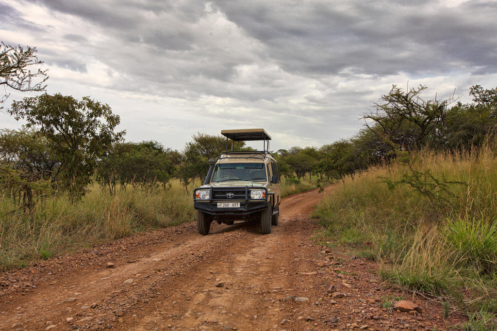 Game Drives gallery image 1