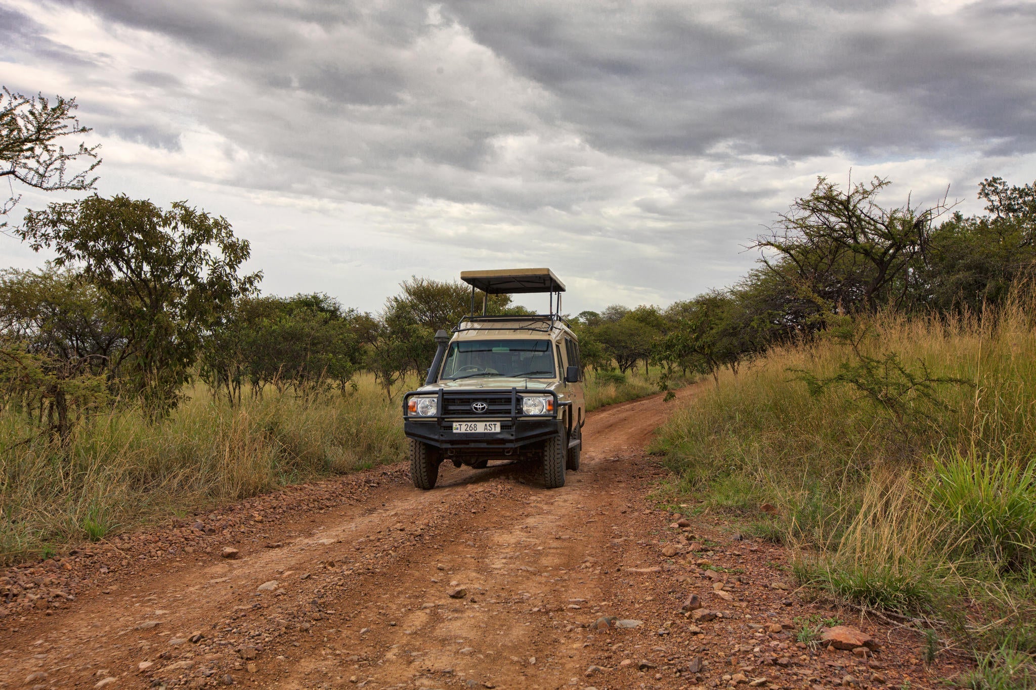 Game Drives