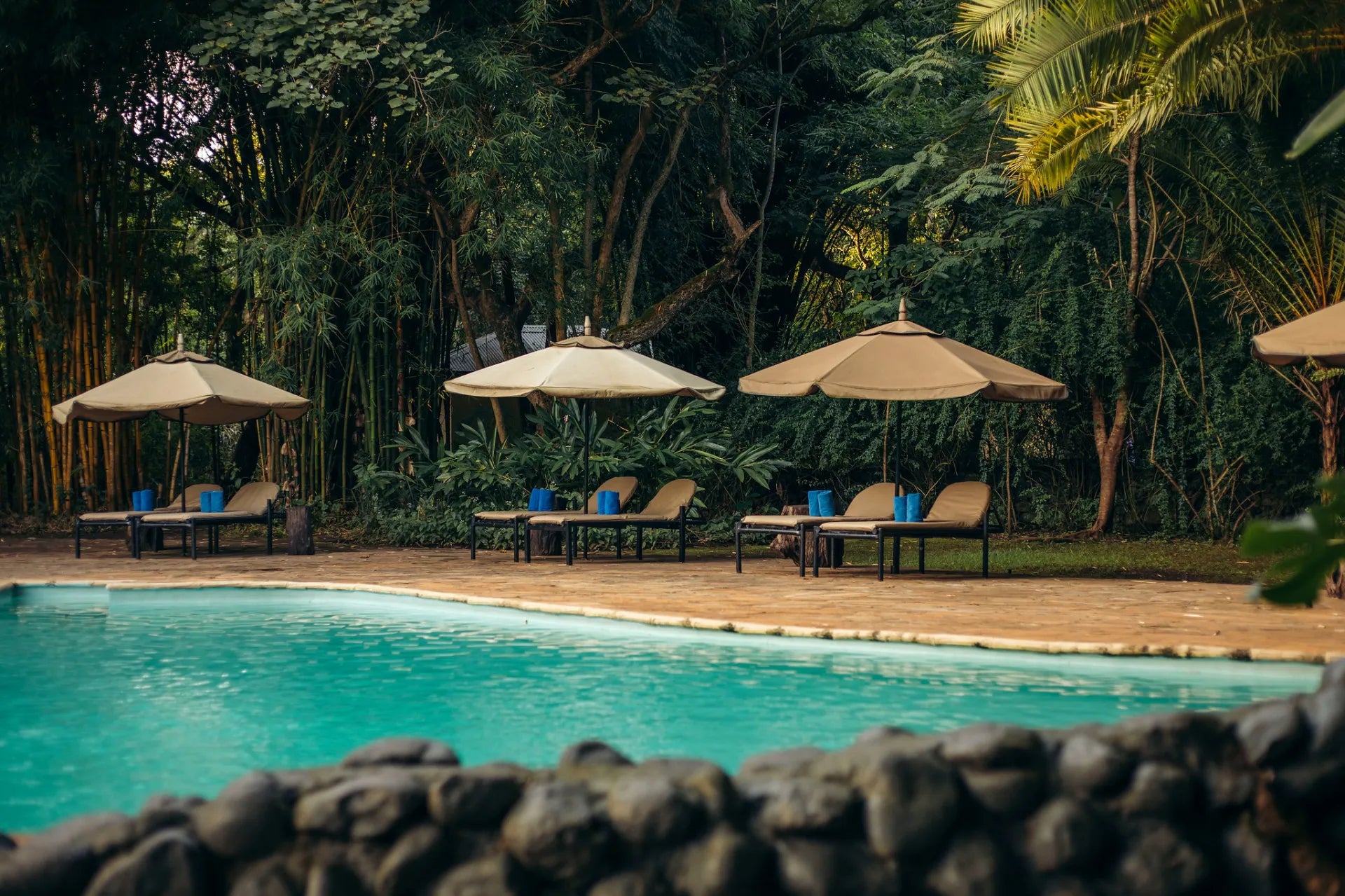 Moivaro Lodge, Arusha, Tanzania gallery image 5.