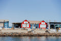 MOLA MOLA MARINE DOLPHIN CRUISE gallery image 1