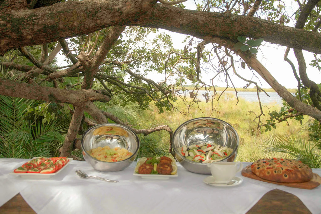 Lunch at Mopiri, Okavango Panhandle, Botswana.