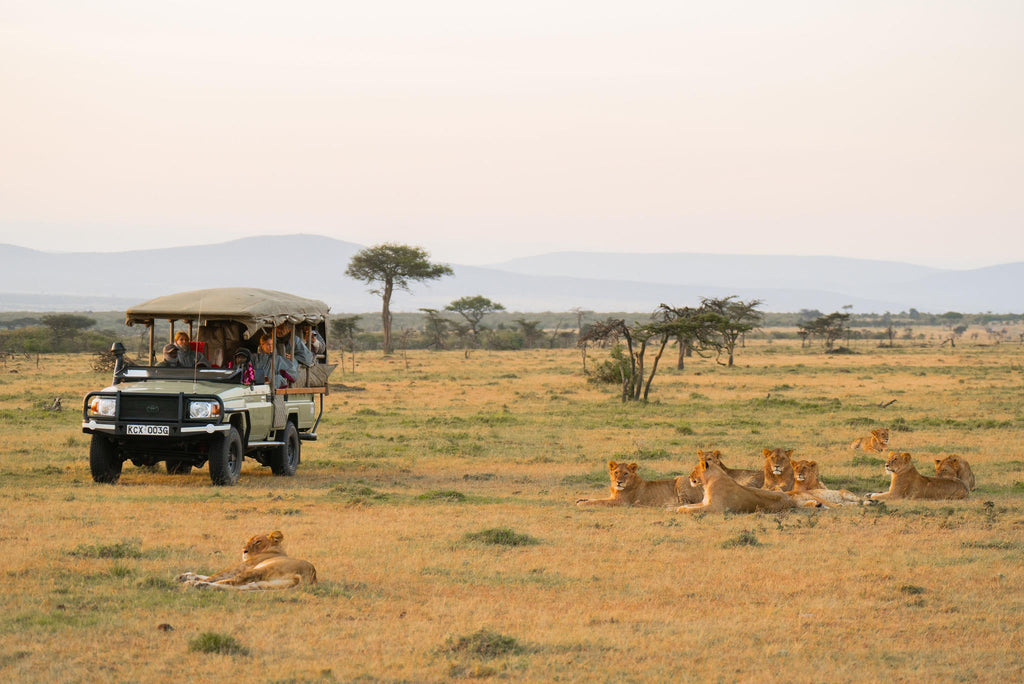 Game Drives gallery image 3