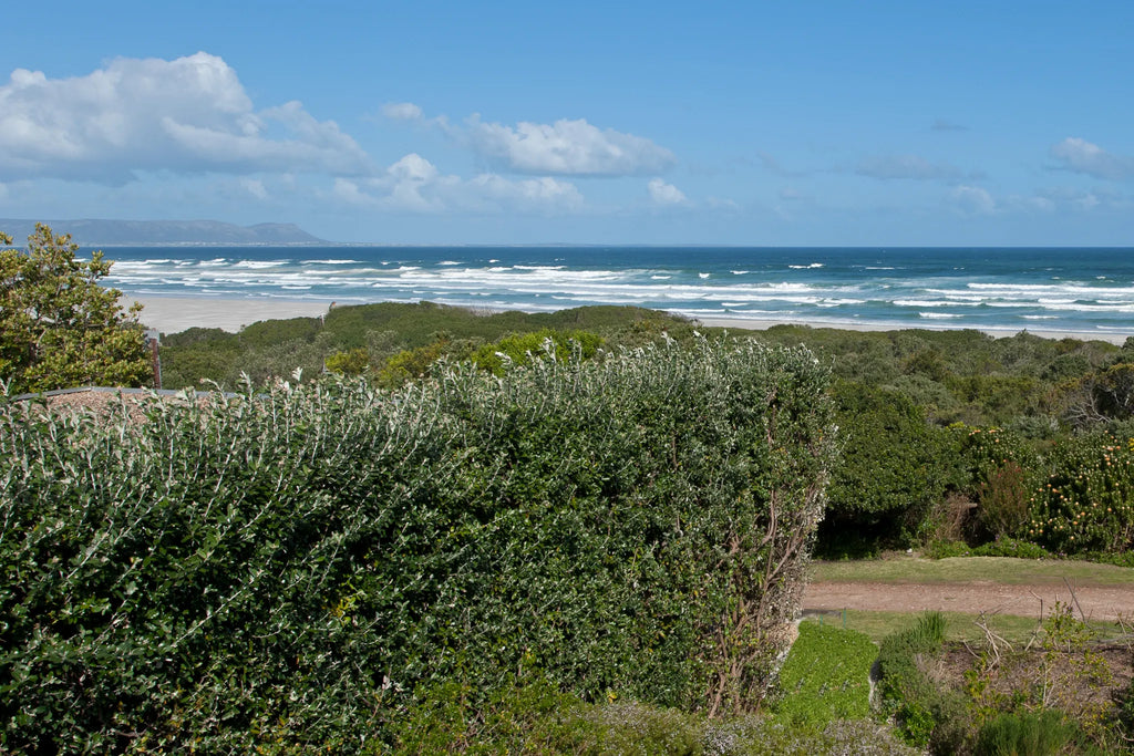 Room gallery image 69.