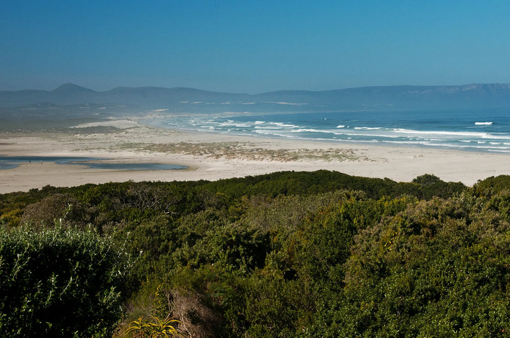 Sea and Lagoon  view at Mosselberg on Grotto Beach, Hermanus, South Africa.