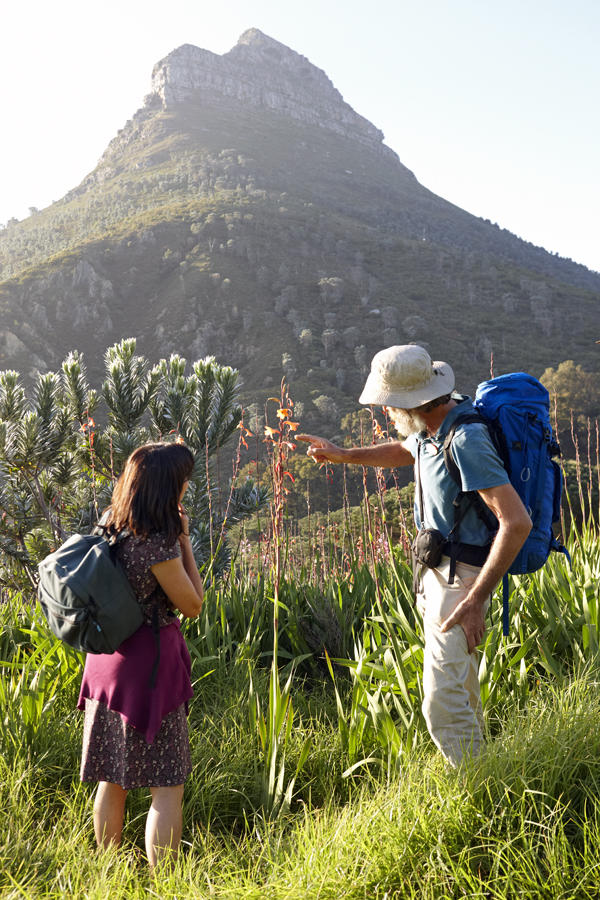 Fynbos Sunset Walks on Table Mountain gallery image 3
