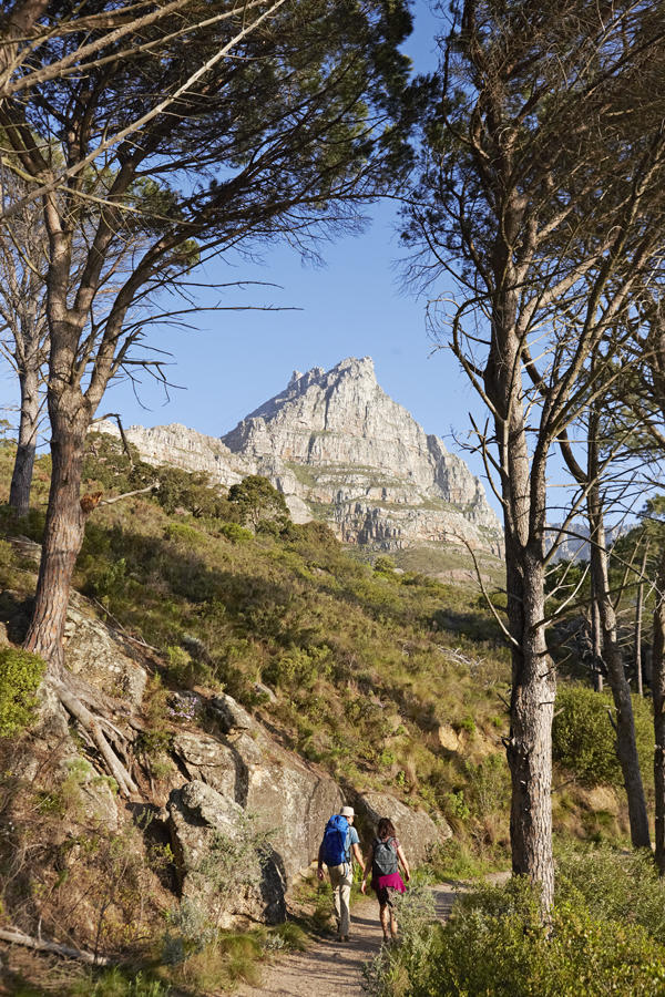 Fynbos Sunset Walks on Table Mountain gallery image 2