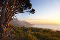 Fynbos Sunset Walks on Table Mountain gallery image 1