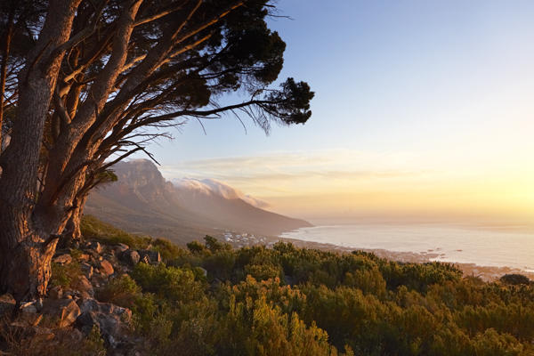 Fynbos Sunset Walks on Table Mountain
