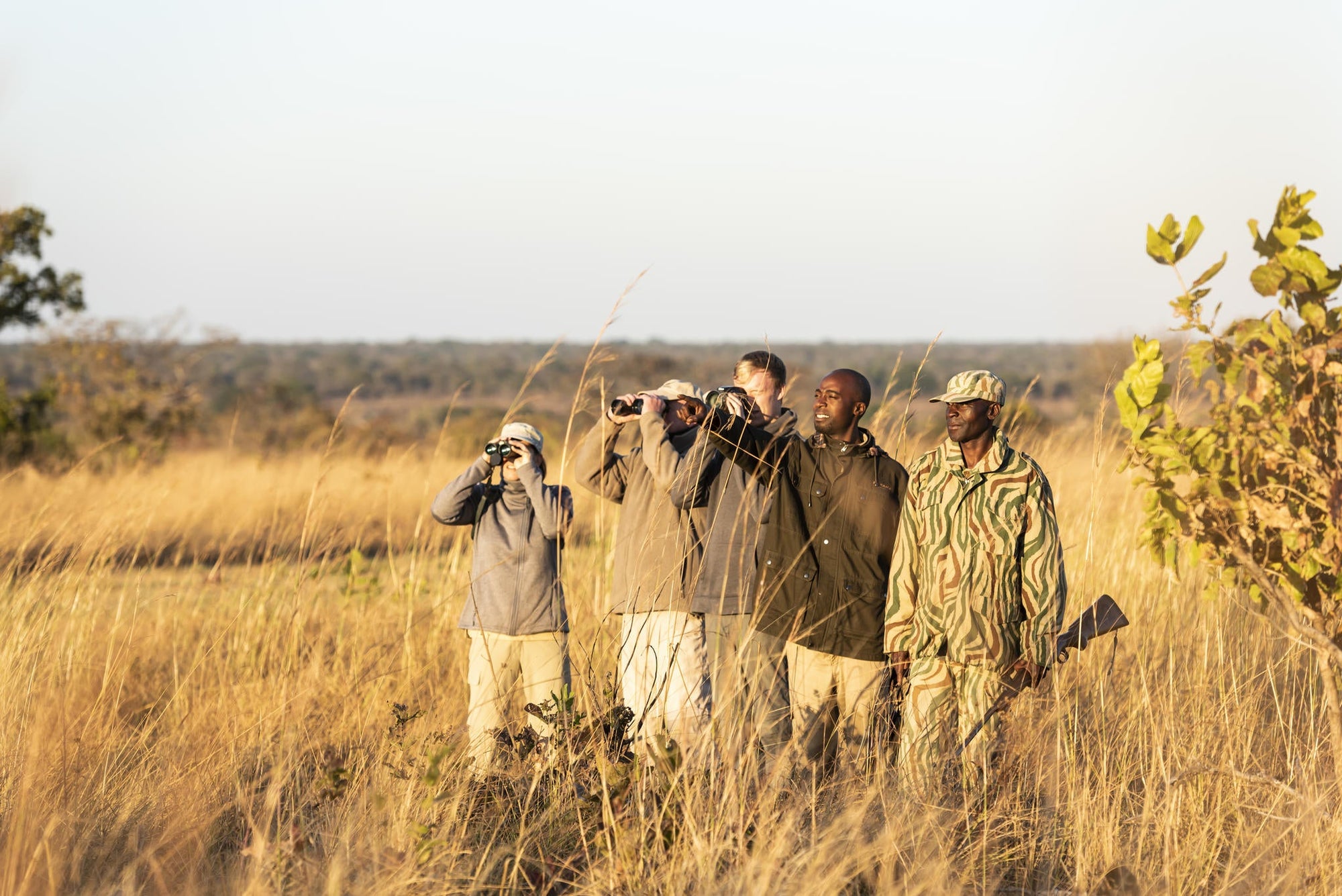 Walking Safaris gallery image 2