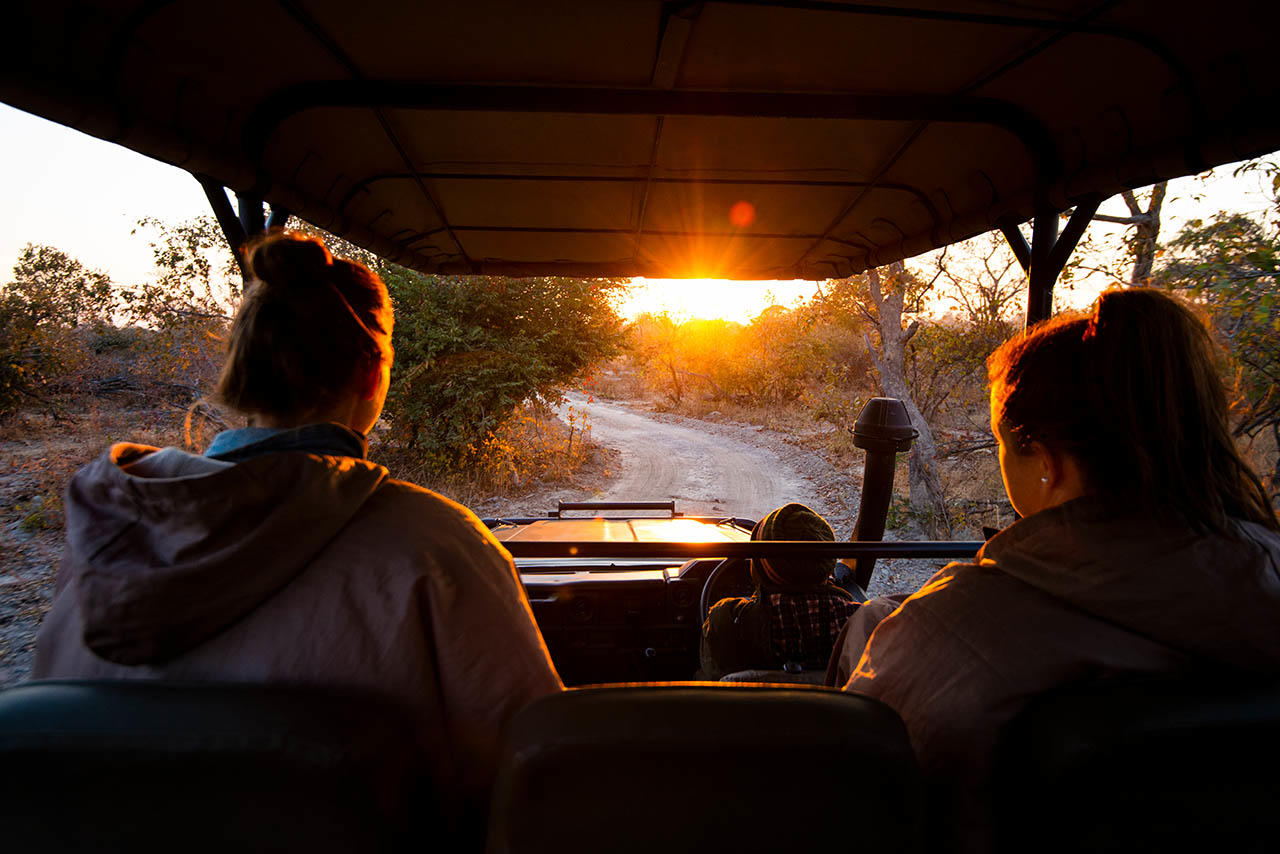 Game Drive gallery image 3