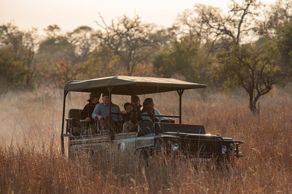Game Drive gallery image 4