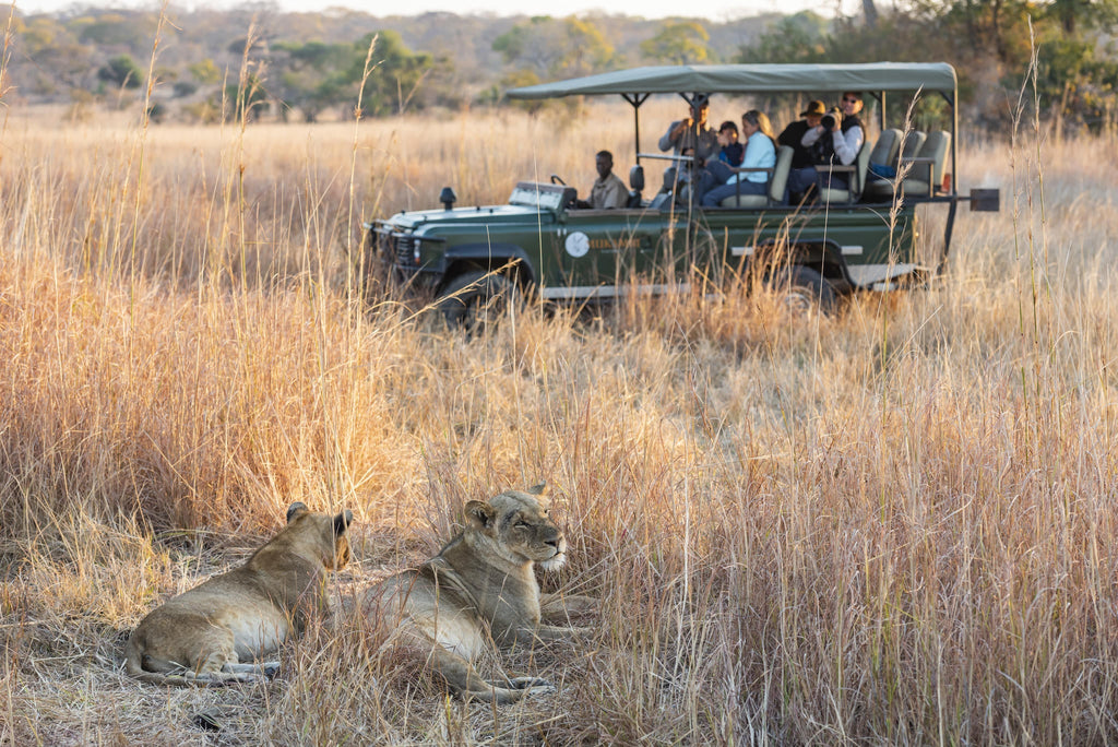 Game Drive gallery image 2