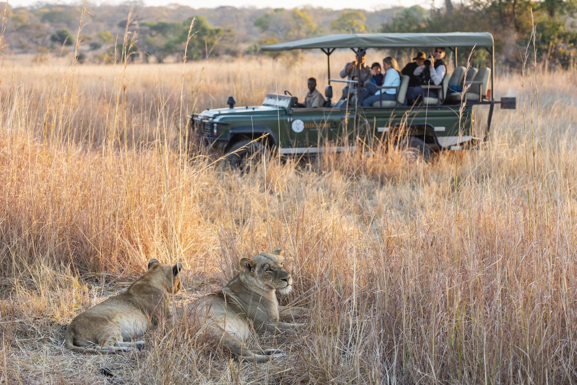 Game Drive gallery image 2