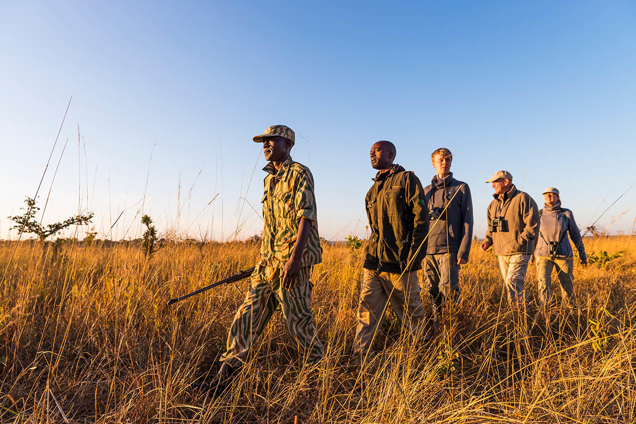 Walking Safaris