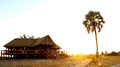 Munga Plains